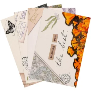 Butterflies Thinking Of You Boxed Cards, by ThreeRoses, 12 Count